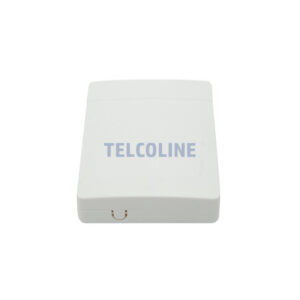 Gniazdo klienckie FTTH na 2 adaptery