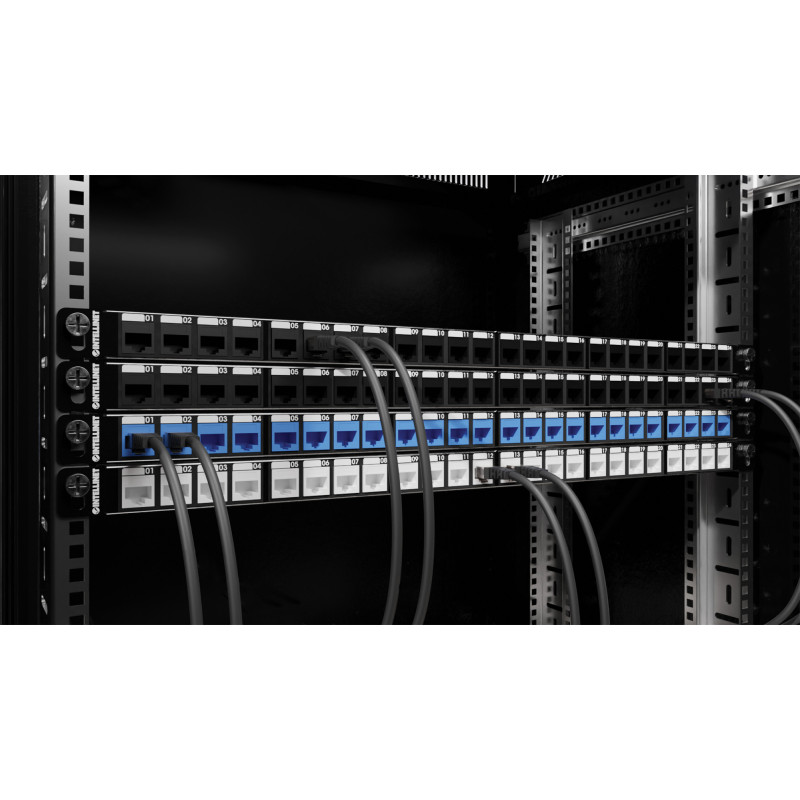 Patch panel 24 porty na moduły Keystone, 0.5U, z tacką - obrazek 6
